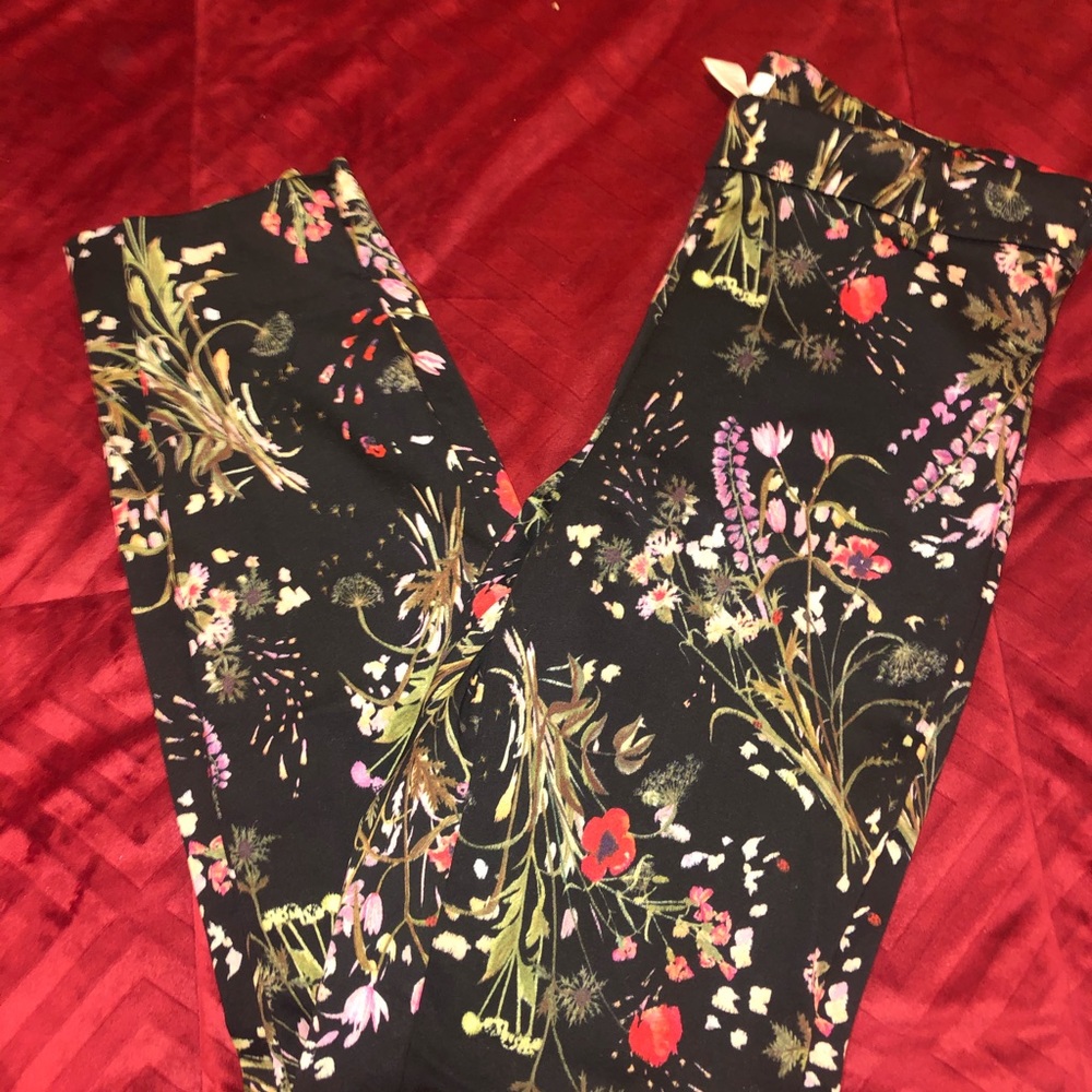 H&m pants